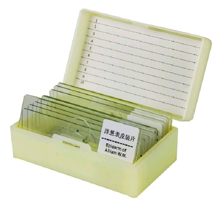 10 pc Prepared Microscope Slide Kit - Magnifiers NZ