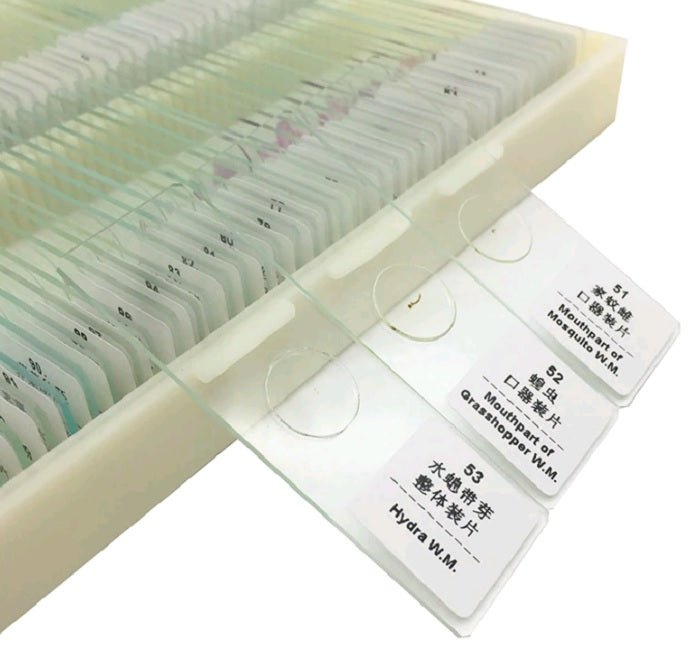 25 pc Prepared Microscope Slide Kit - Magnifiers NZ