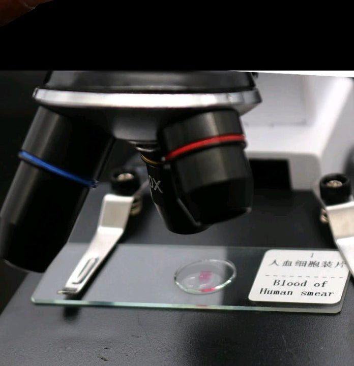 25pcs Microscope Slide Kit — Magnifiers NZ