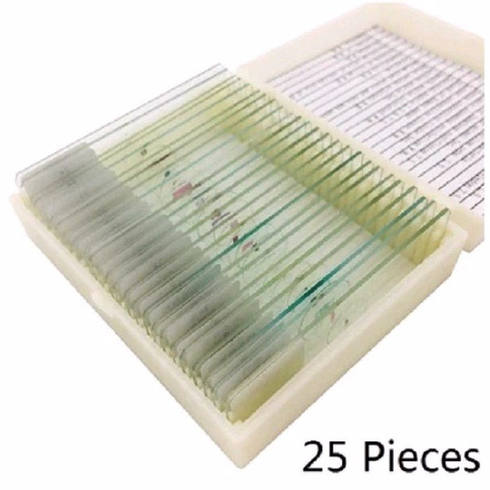 25 pc Prepared Microscope Slide Kit - Magnifiers NZ