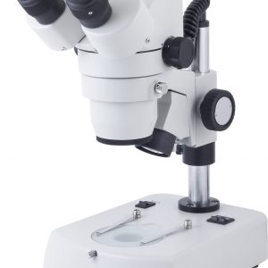 Stereo_Microscope_with_camera_head.jpg