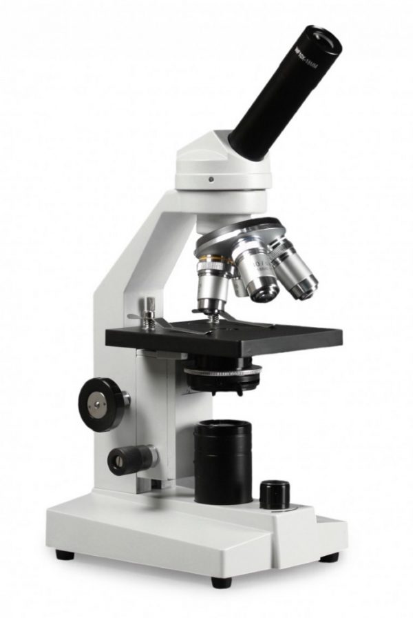 40-400X_Microscope_100FL.jpg